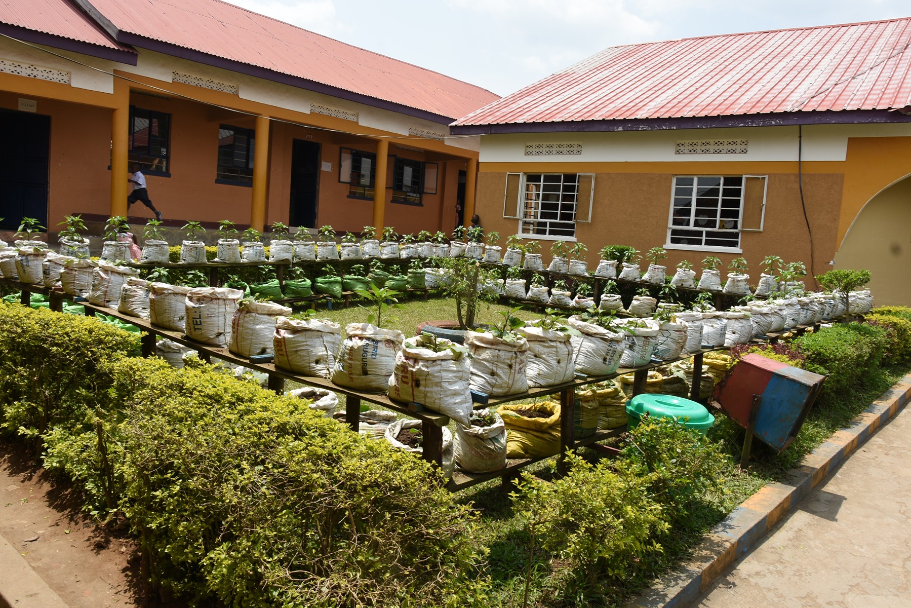 Gardening & agriculture